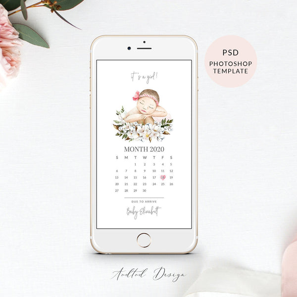 Baby Announcement Due Date Calendar Template, Photoshop Template, Electronic Pregnancy Ann. , PSD, Instant Download #Y20-ENB3-PSD