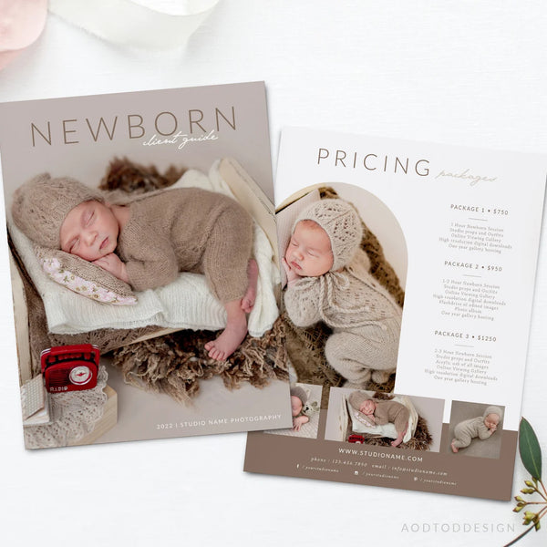 Newborn Photography Pricing Template, Price Guide List for Photographers, Photo Price Guide Template, Photoshop #Y22-NM1-PSD
