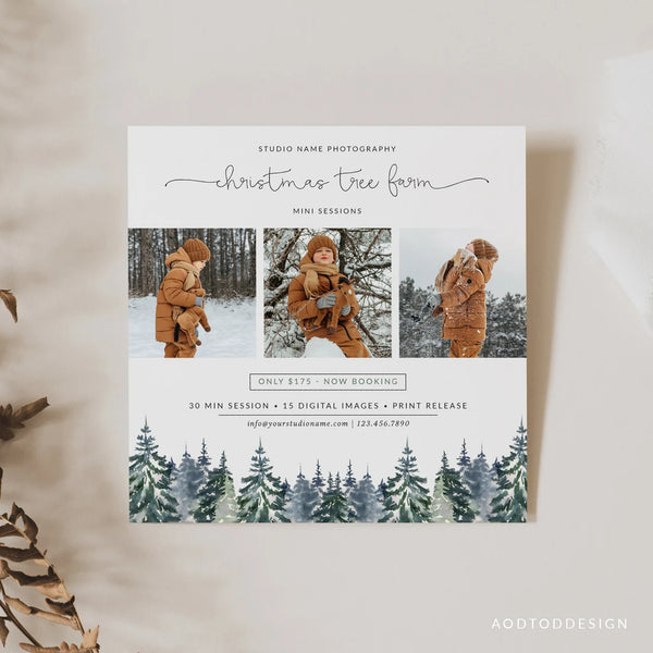 Tree Farm Mini Session Template, Wonderful Time, Holiday, Session, Marketing, Board, Photography, Photoshop, DIY #Y22-MB6-PSD